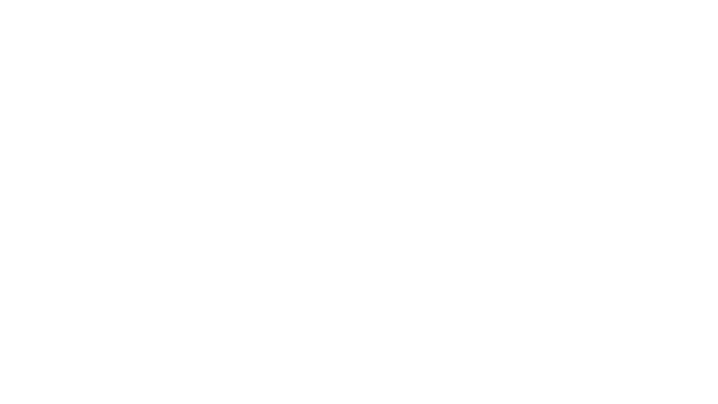 Longhorn Integration LLC